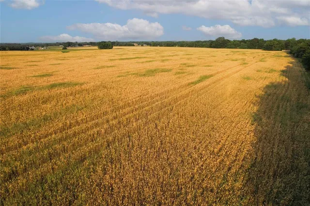 $755,000 | Tdb Tdb Fm-137, Honey Grove, TX 75446