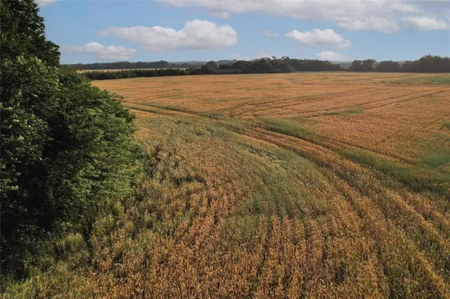 $755,000 | Tdb Tdb Fm-137, Honey Grove, TX 75446