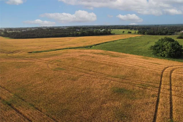 $755,000 | Tdb Tdb Fm-137, Honey Grove, TX 75446