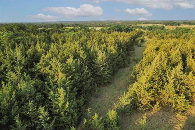 $755,000 | Tdb Tdb Fm-137, Honey Grove, TX 75446