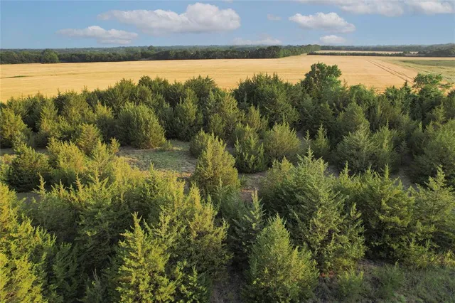 $755,000 | Tdb Tdb Fm-137, Honey Grove, TX 75446