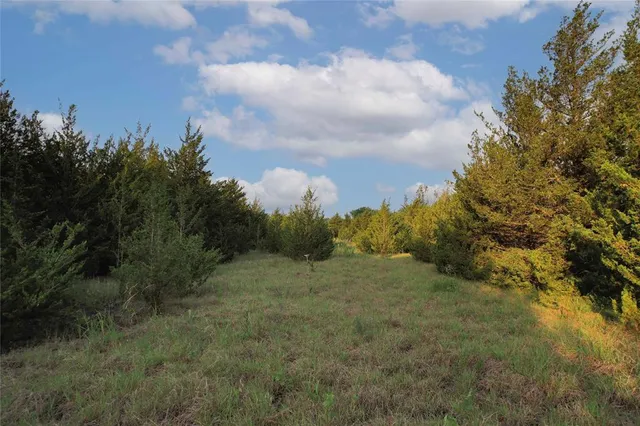 $755,000 | Tdb Tdb Fm-137, Honey Grove, TX 75446