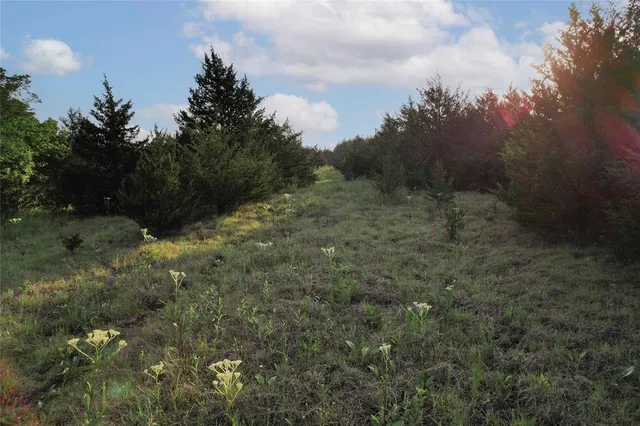 $755,000 | Tdb Tdb Fm-137, Honey Grove, TX 75446