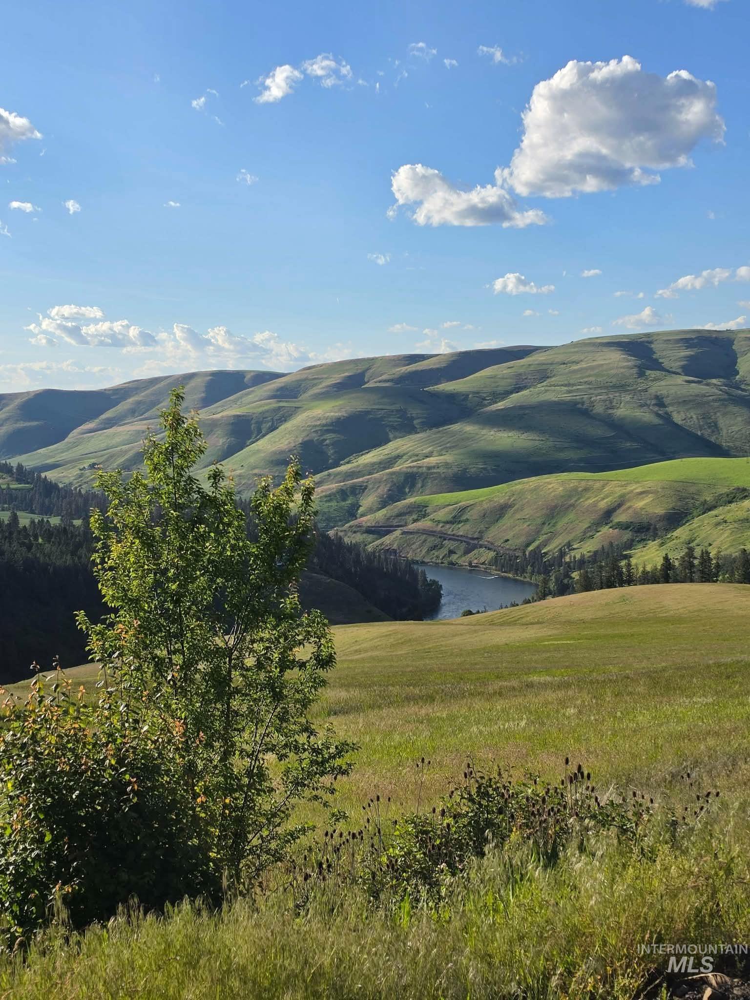 Tbd Tbd Summit Lenore, ID 83541 - Photo 25 of 25