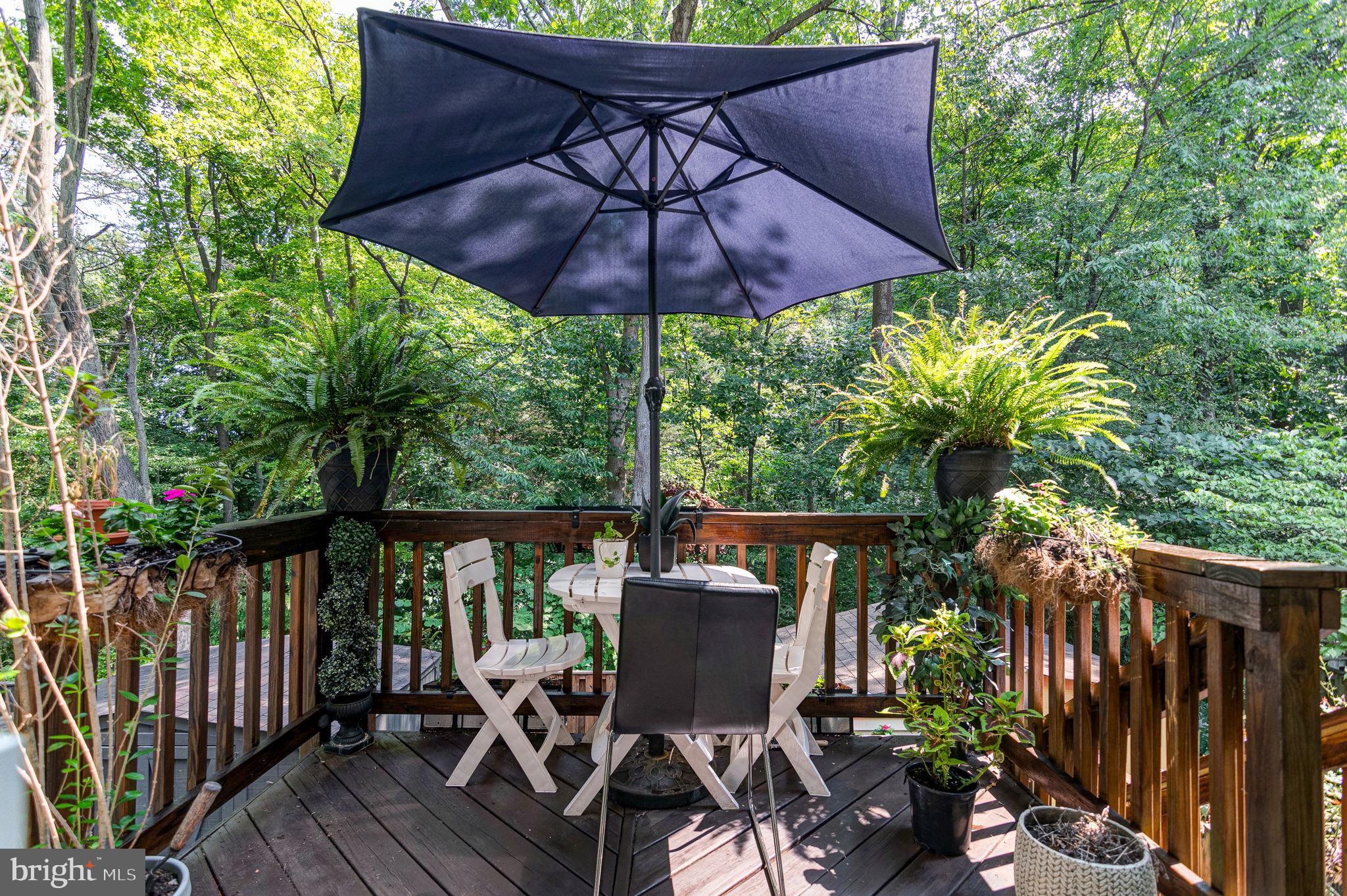 8303 Windfall Road Springfield, VA 22153 - Photo 32 of 42 Upper Level Deck