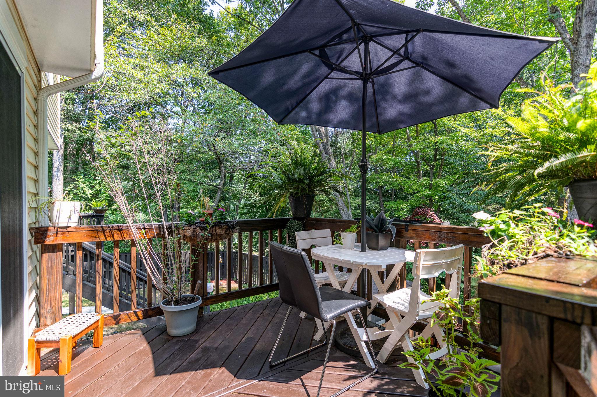 8303 Windfall Road Springfield, VA 22153 - Photo 33 of 42 Deck View 2