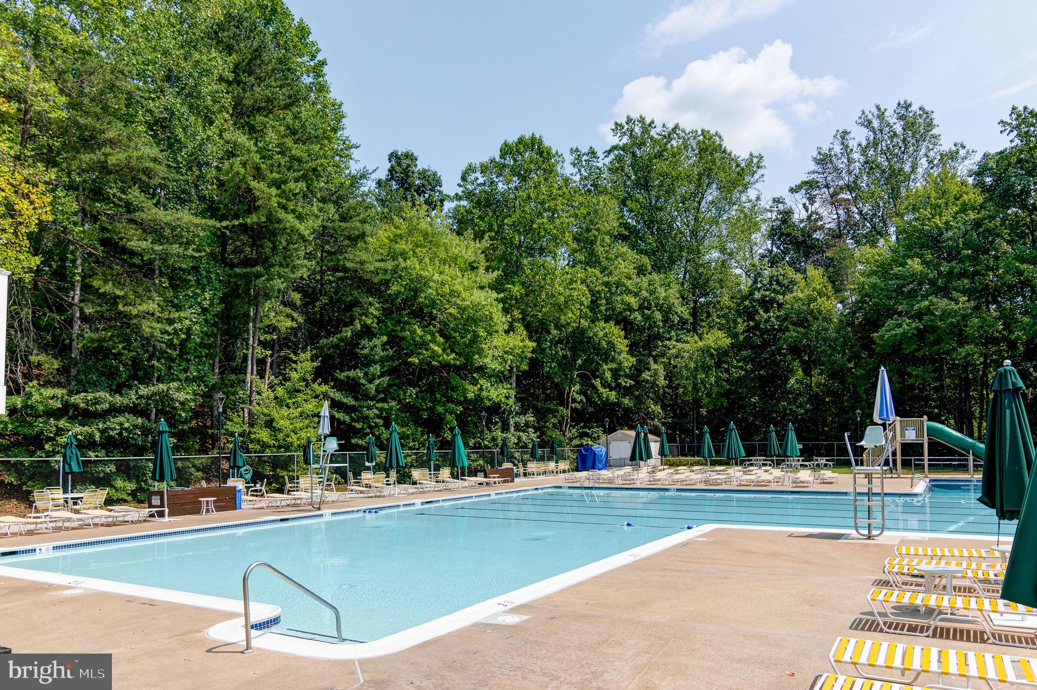 8303 Windfall Road Springfield, VA 22153 - Photo 37 of 42 Newington Forest Community In Ground Pool