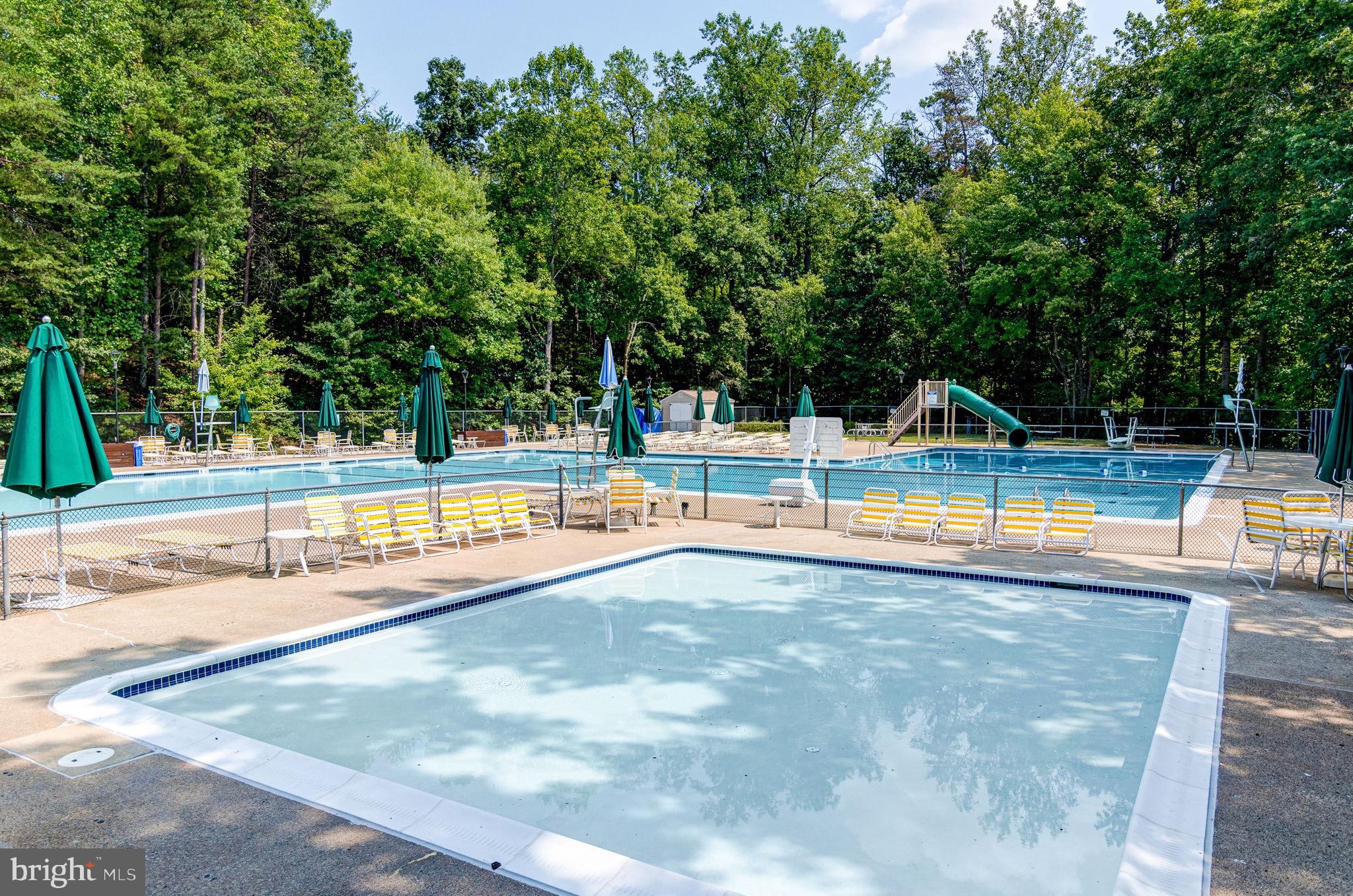 8303 Windfall Road Springfield, VA 22153 - Photo 38 of 42 Community Pool View 2