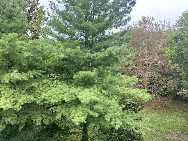 $2,100 | 409 Ashlawn Court, Nashville, TN 37215