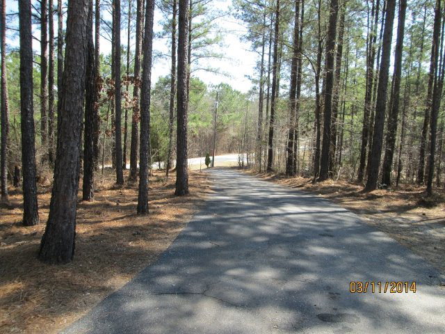 1584 Klopfer Road Juliette, GA 31046 - Photo 2 of 18 Additional Photo