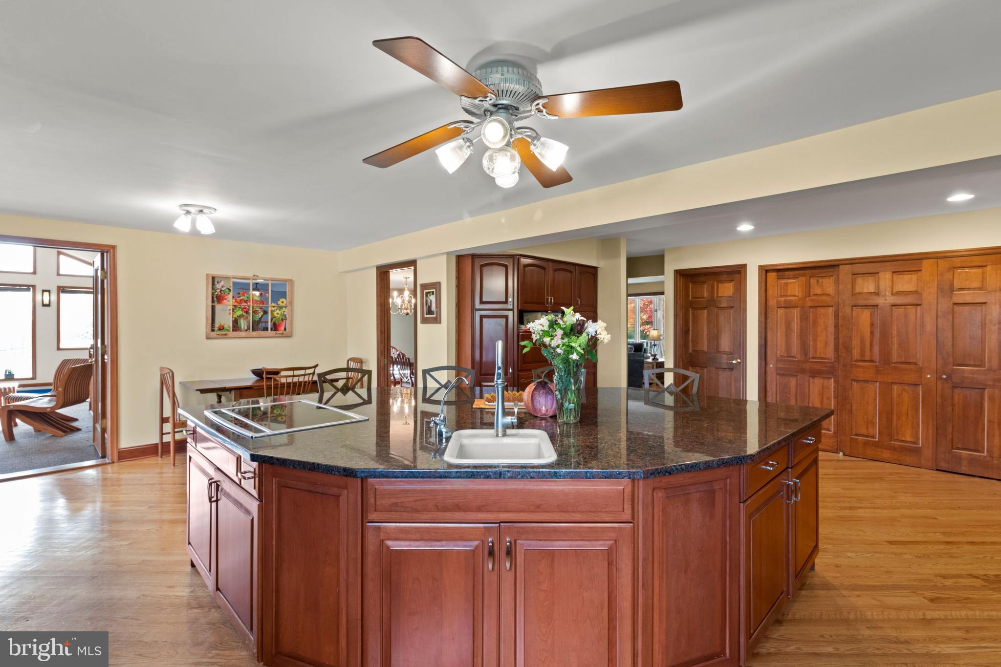 393 Township Line Road Chalfont, PA 18914 - Photo 20 of 56 Induction cooktop at island location