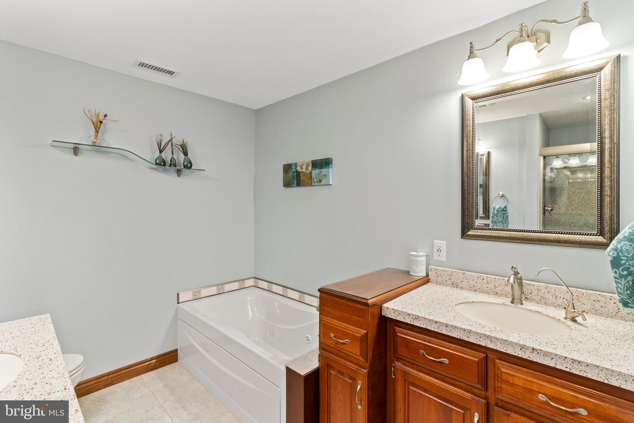 393 Township Line Road Chalfont, PA 18914 - Photo 36 of 56 Primary Bathroom with soaking tub