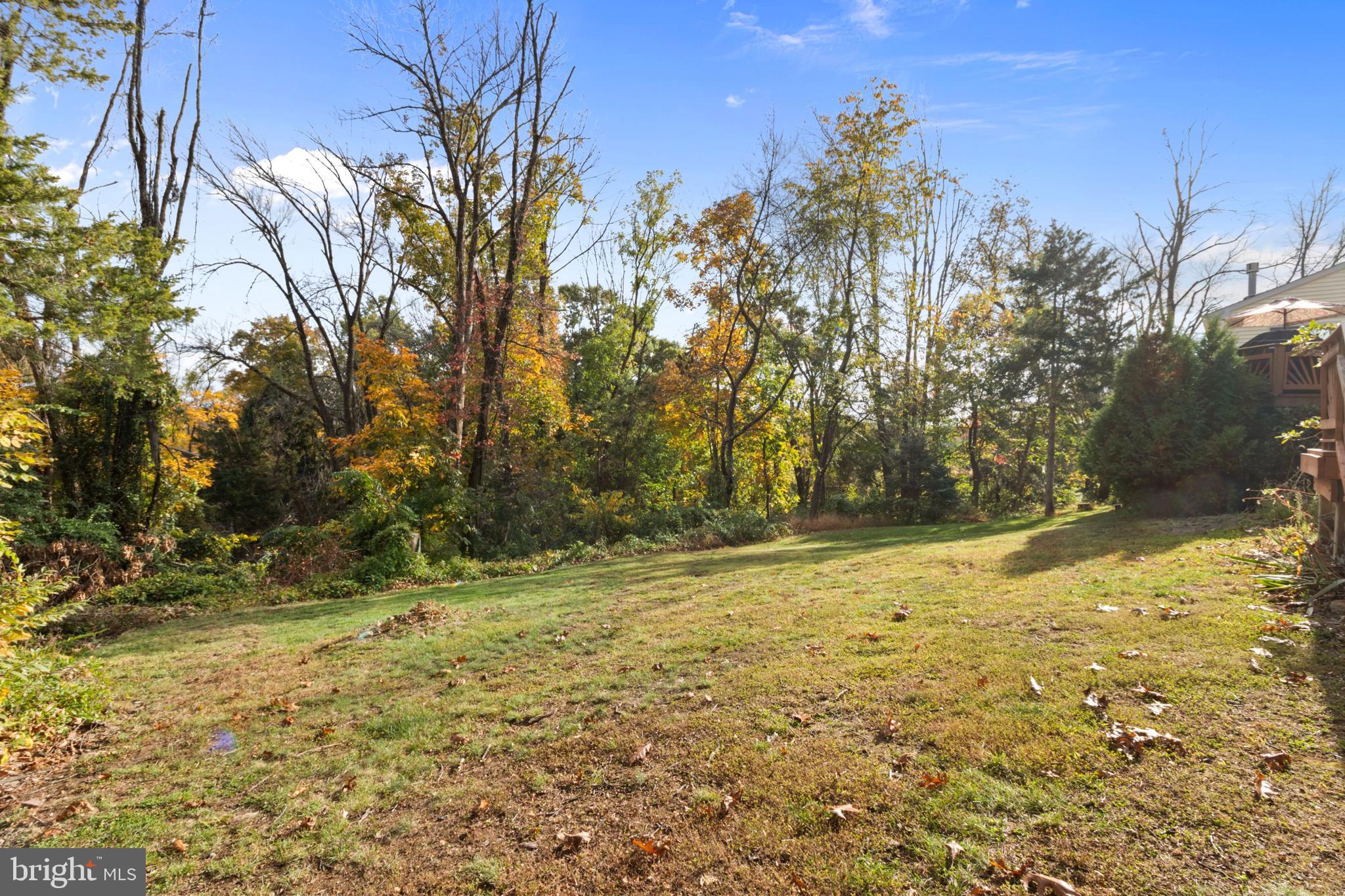 393 Township Line Road Chalfont, PA 18914 - Photo 48 of 56 View of Back Yard