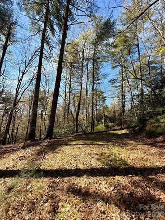 a view of a backyard of the house