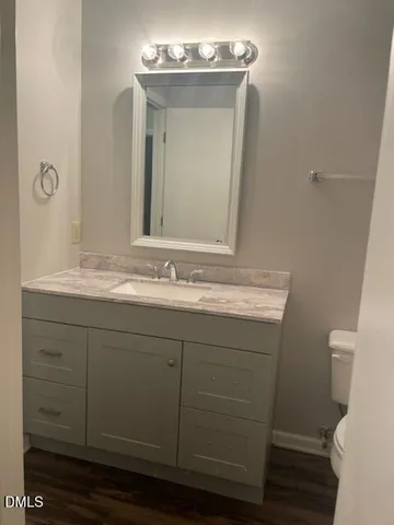 a bathroom with a sink vanity and toilet