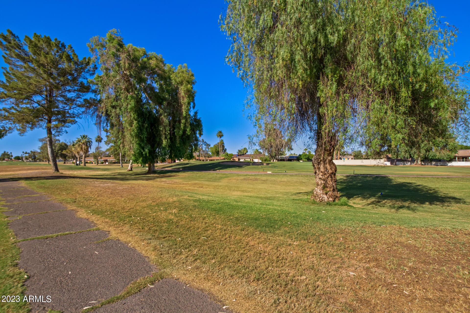 709 South Power Road, Unit 105 Mesa, AZ 85206 - Photo 32 of 36 a view of a yard with a tree