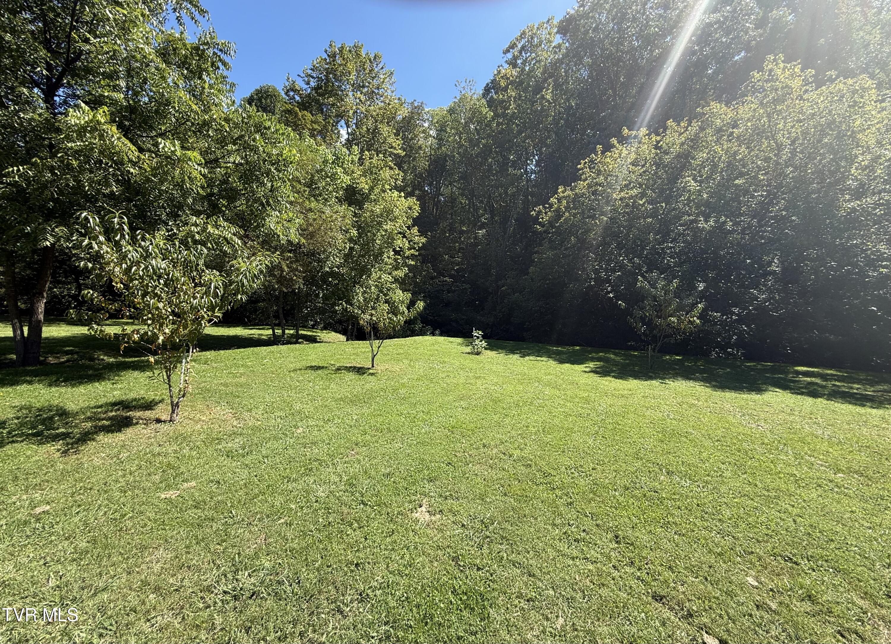 2418 Beech Creek Road Rogersville, TN 37857 - Photo 59 of 74 IMG_3930