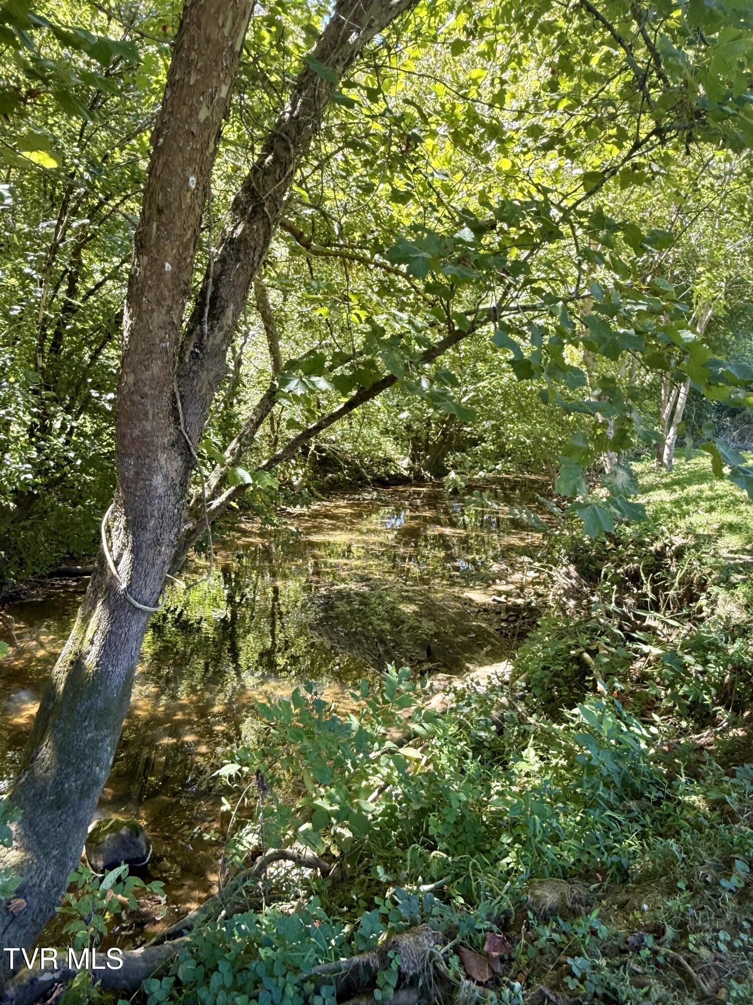 2418 Beech Creek Road Rogersville, TN 37857 - Photo 71 of 74 IMG_3864