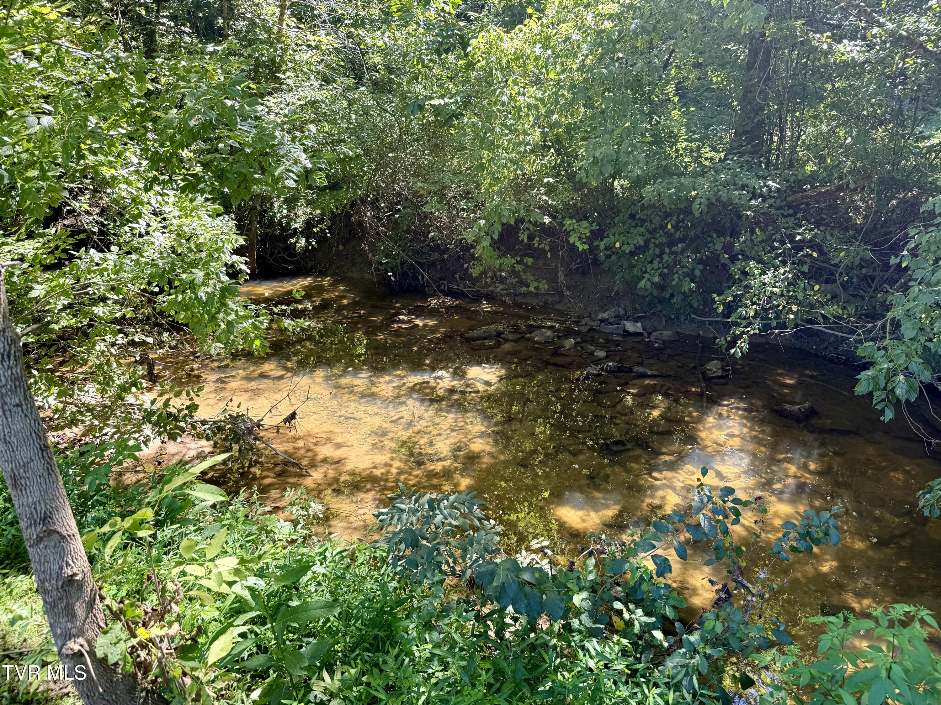 2418 Beech Creek Road Rogersville, TN 37857 - Photo 72 of 74 IMG_3852