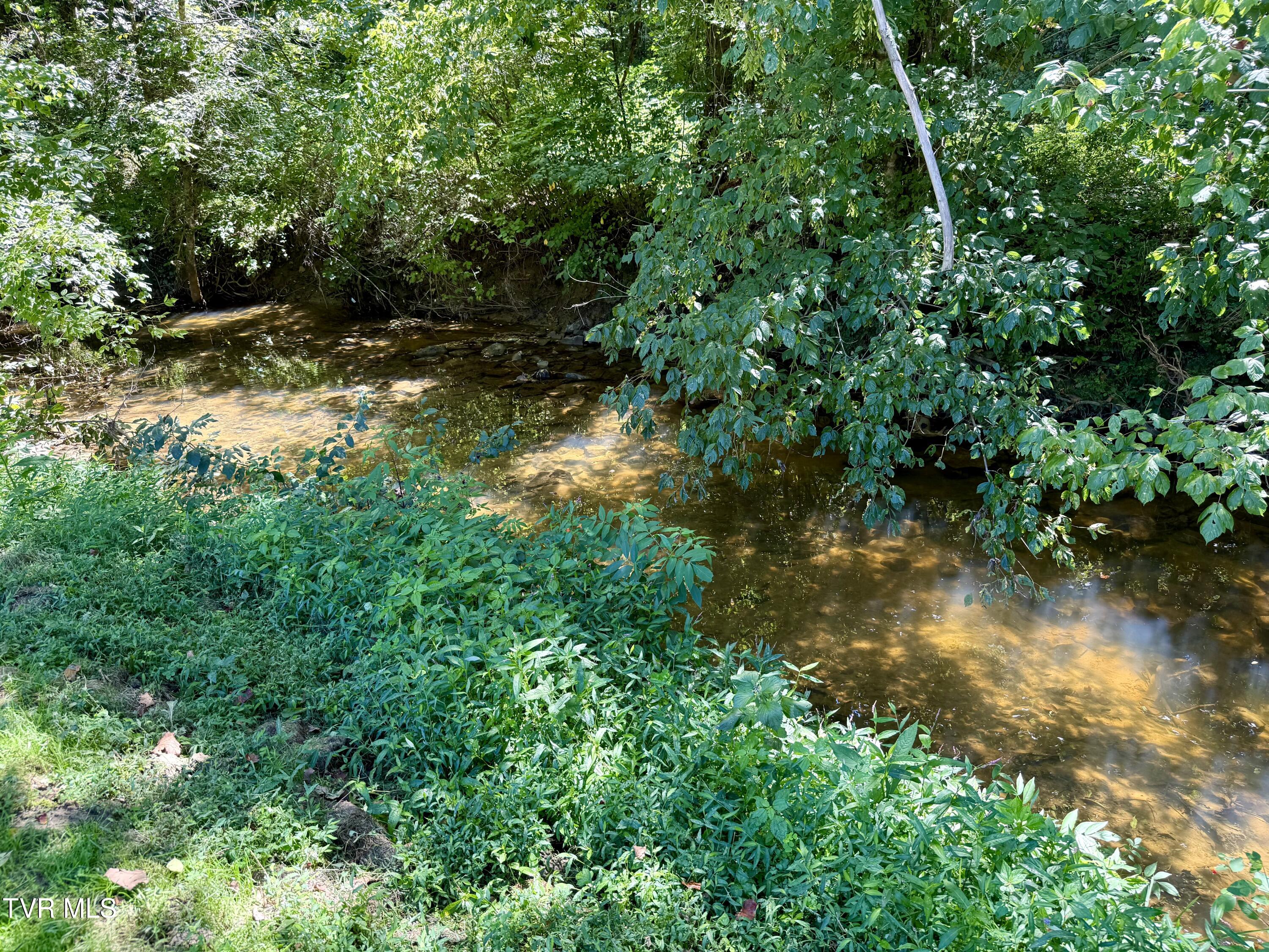 2418 Beech Creek Road Rogersville, TN 37857 - Photo 73 of 74 IMG_3851