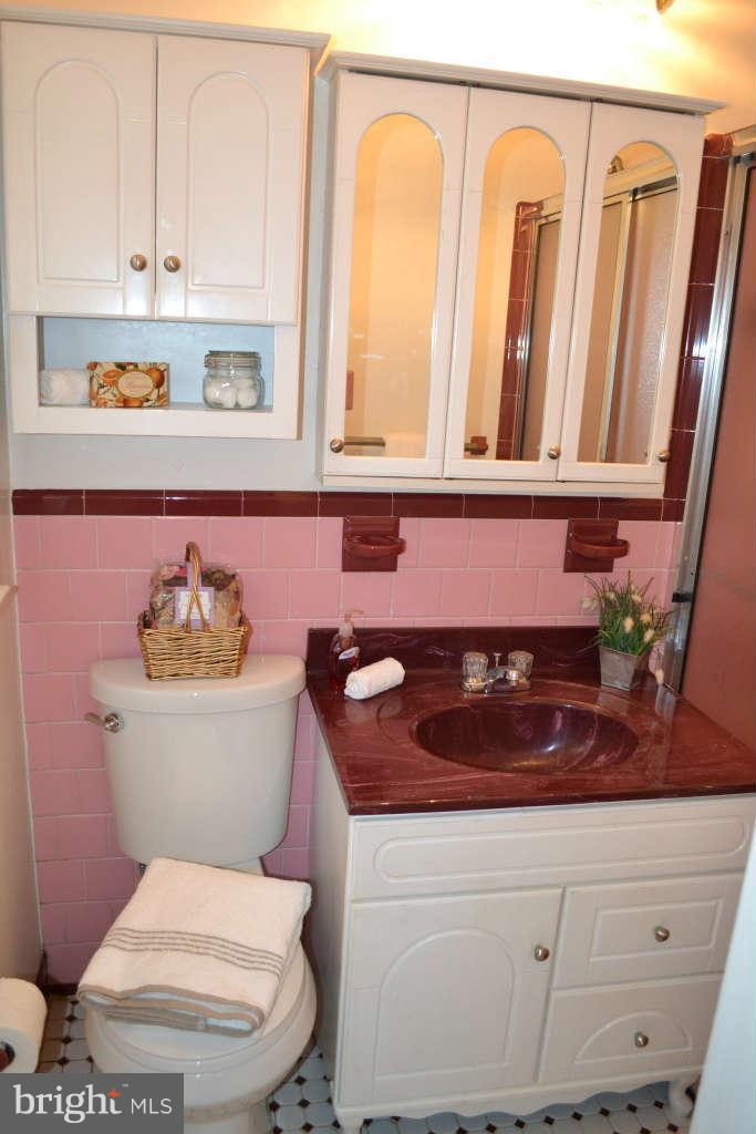 1117 Ryegate Road Baltimore, MD 21286 - Photo 20 of 27 Bath (Master)