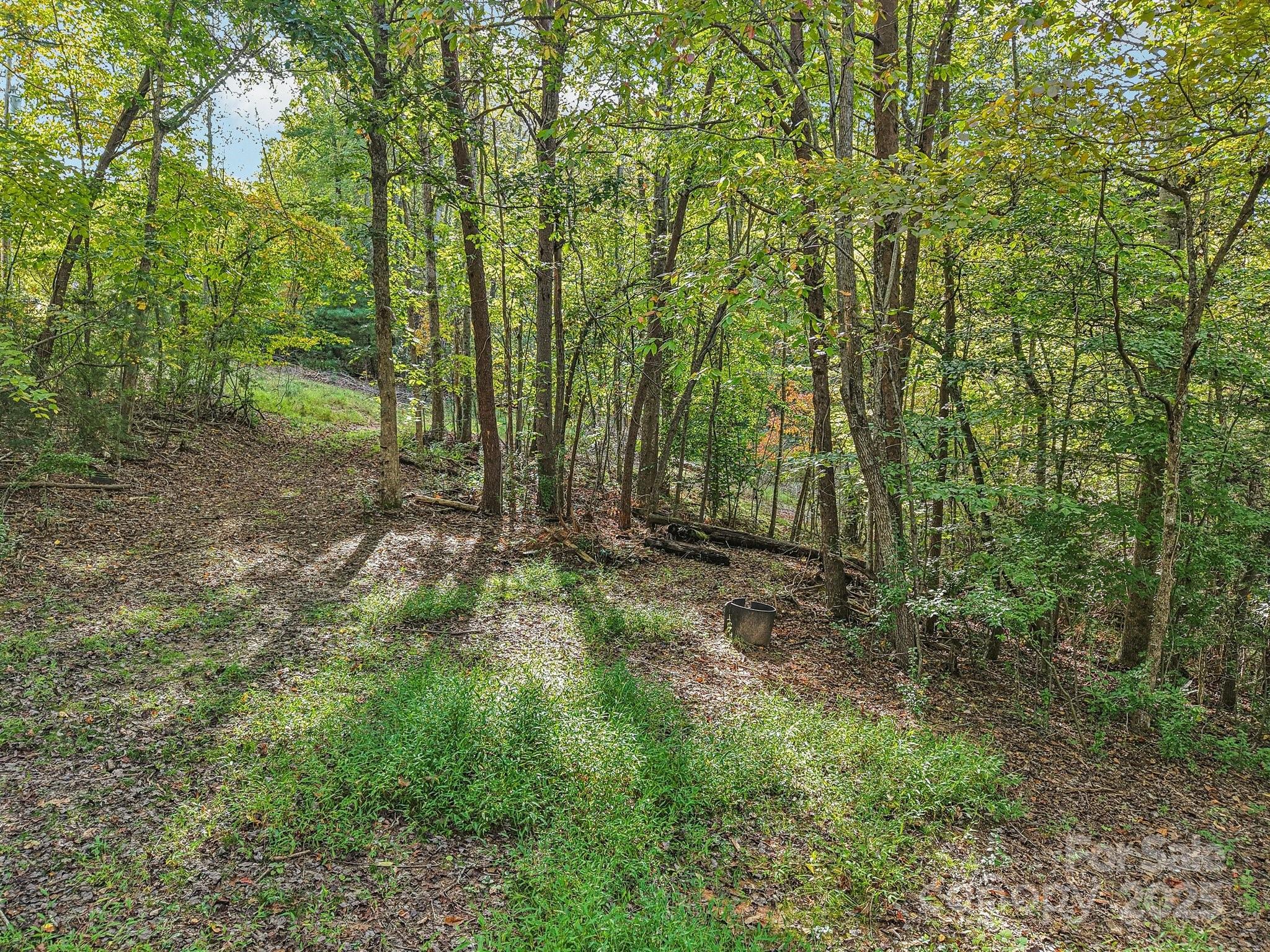 Tbd Upper Glady Fork Road Candler, NC 28715 - Photo 6 of 11