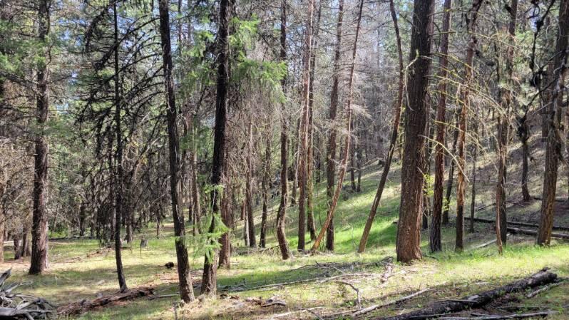 1315 Lofton Creek Road Prineville, OR 97754 - Photo 56 of 61 image000006