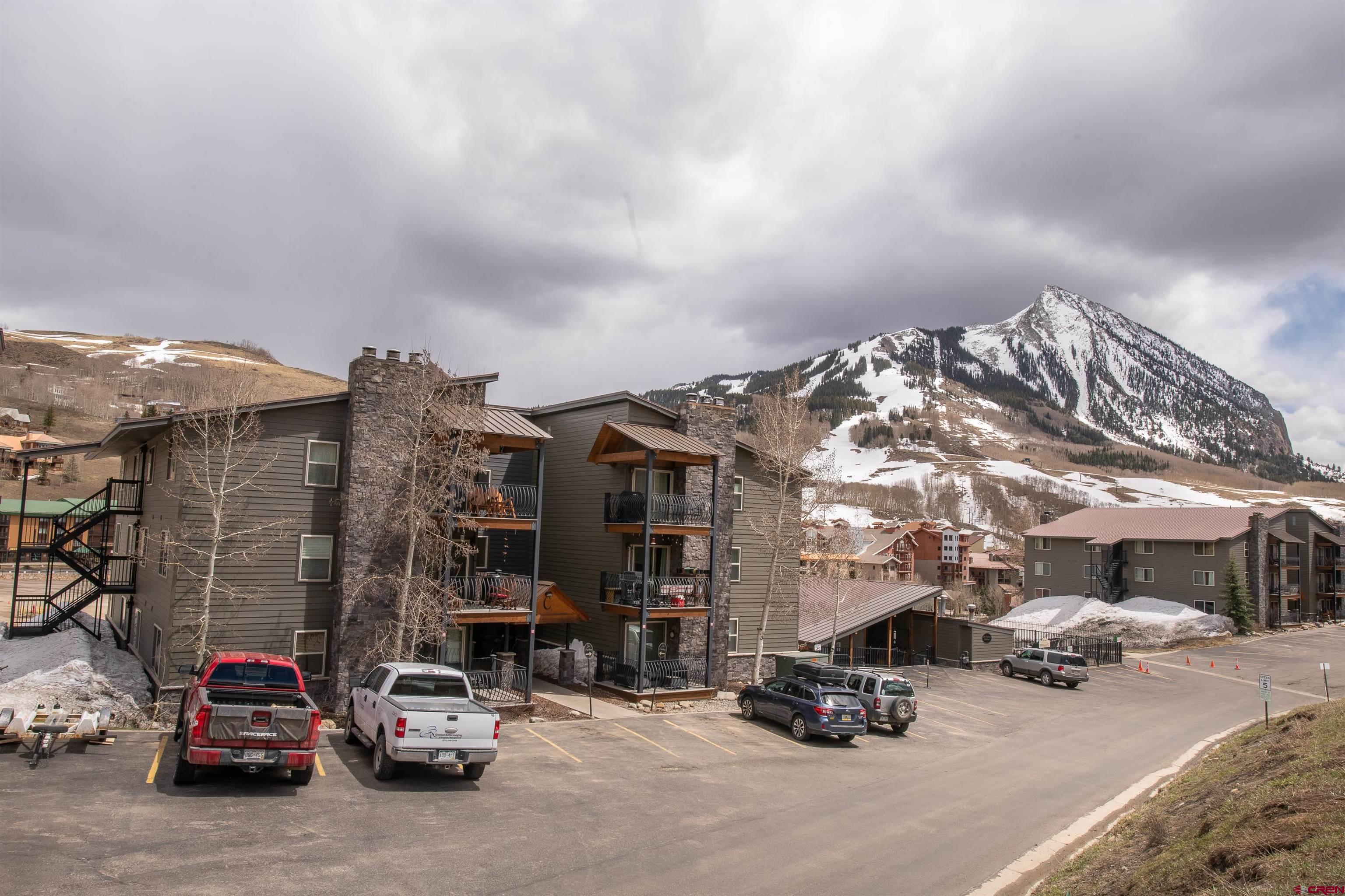 651 Gothic Road, Unit C306 Crested Butte, CO 81225 - Photo 3 of 28 Gallery Image 3
