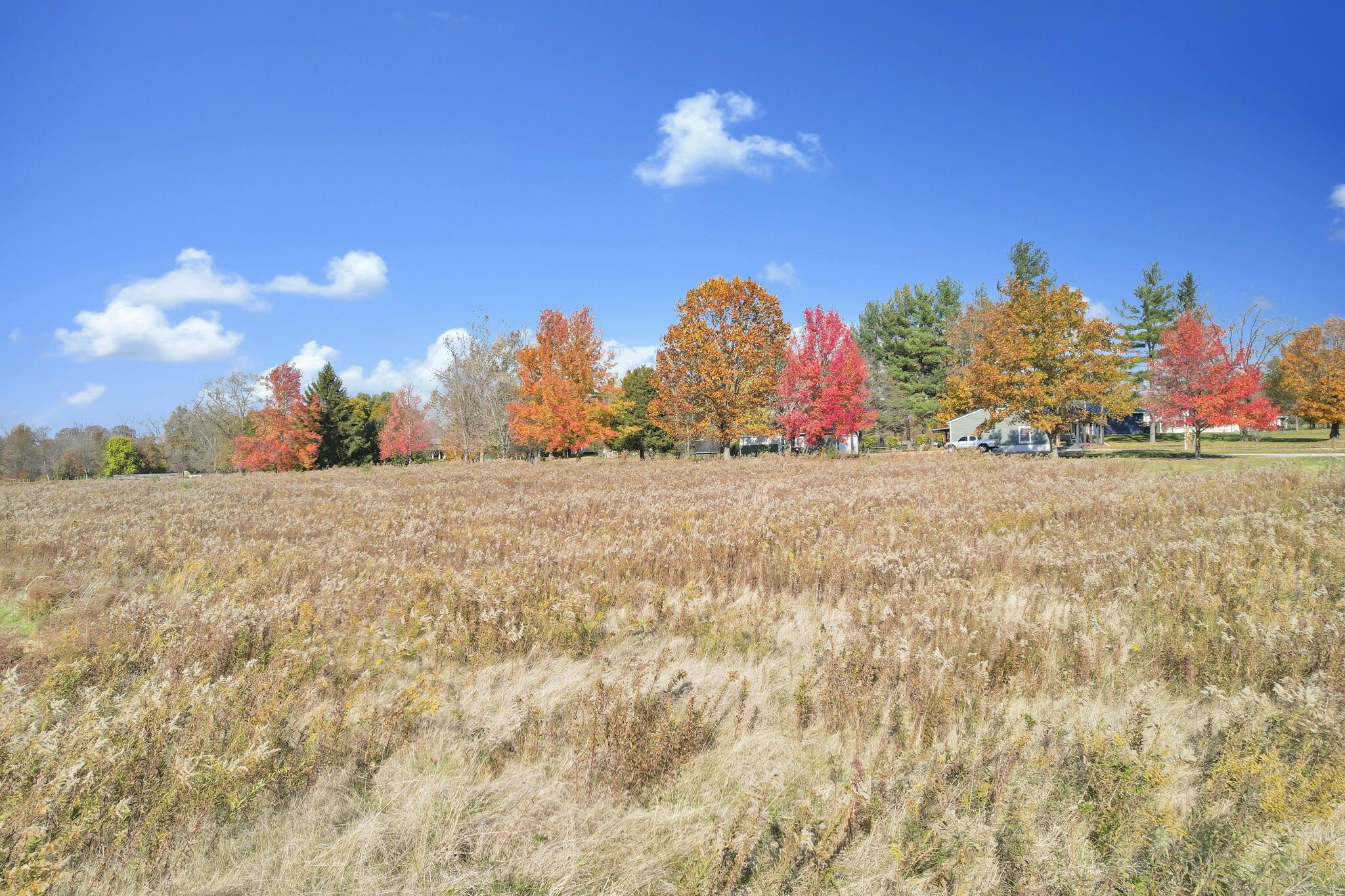 8160 Gale Road Southwest Hebron, OH 43025 - Photo 2 of 23 8160 Gale Rd