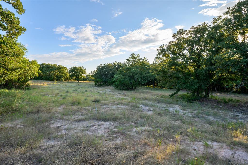 1030 Mustang Ridge Perrin, TX 76486 - Photo 8 of 21