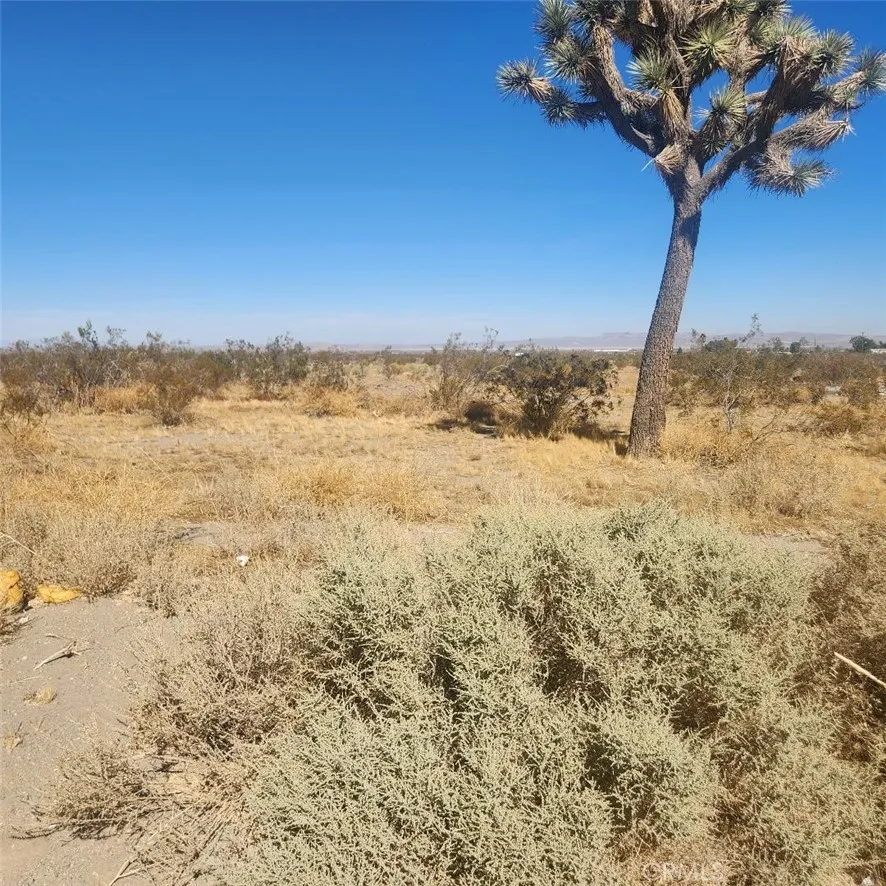 11 Palmdale Road Pinon Hills, CA 92372 - Photo 4 of 5