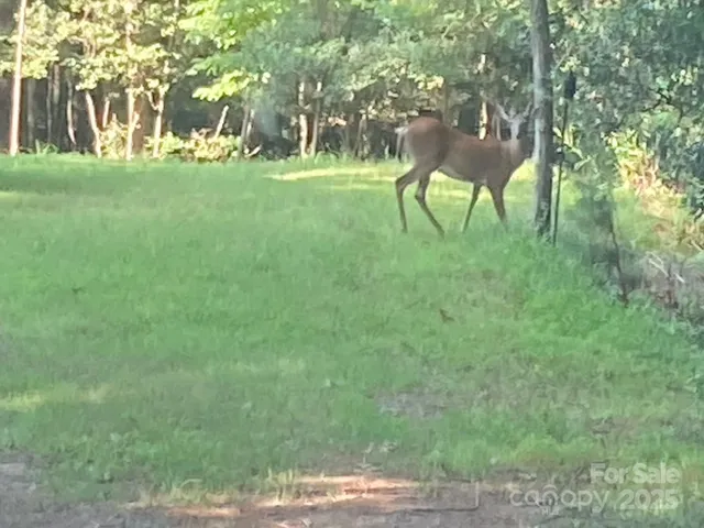 a view of yard with green space