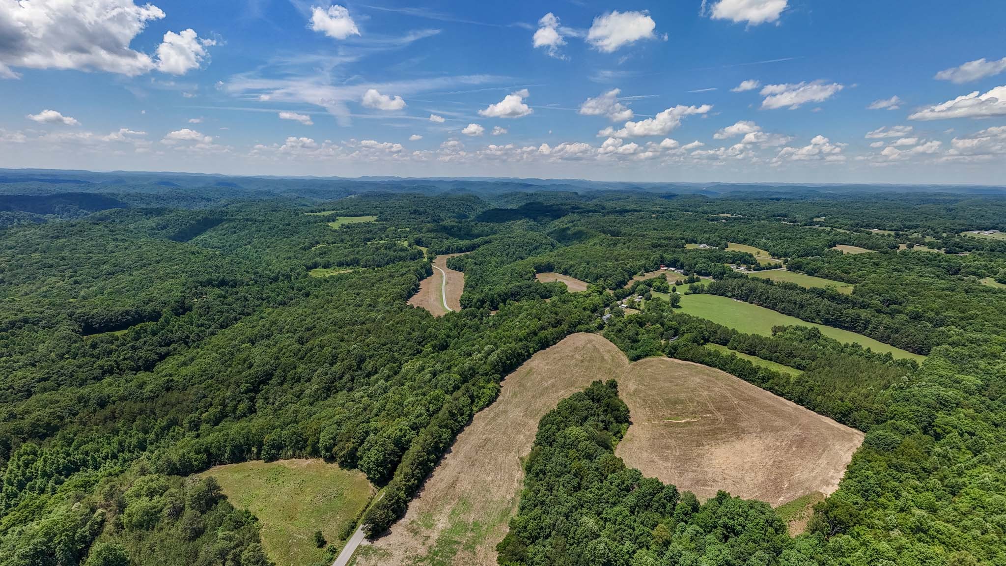 3772 Pea Ridge Road Liberty, TN 37095 - Photo 5 of 52