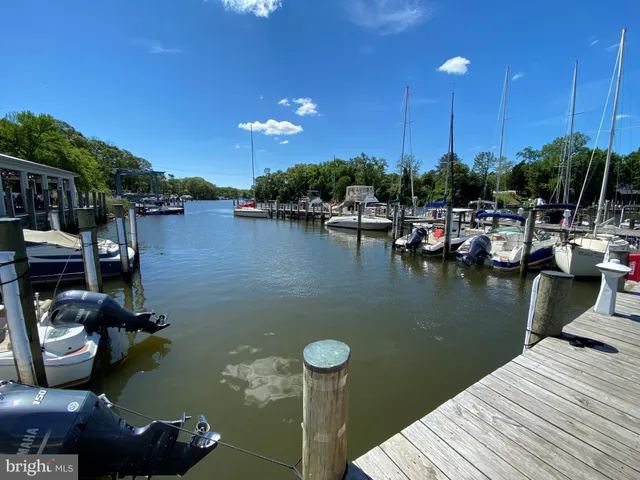 a view of a lake with boats and palm trees