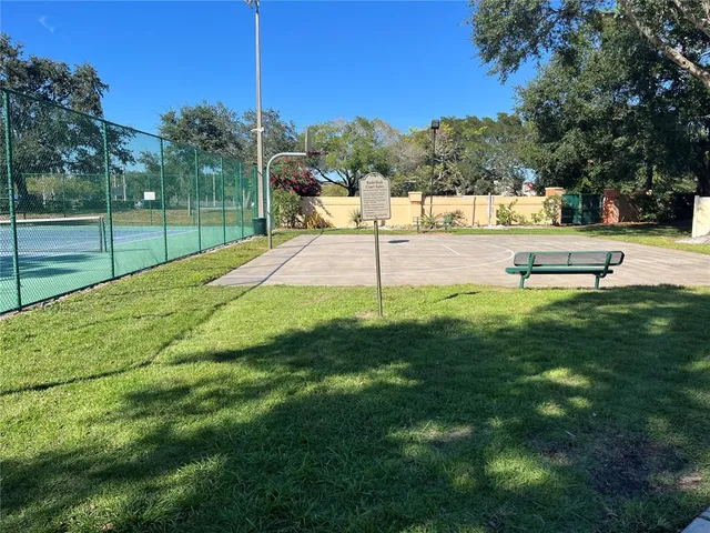 a view of a park with large trees