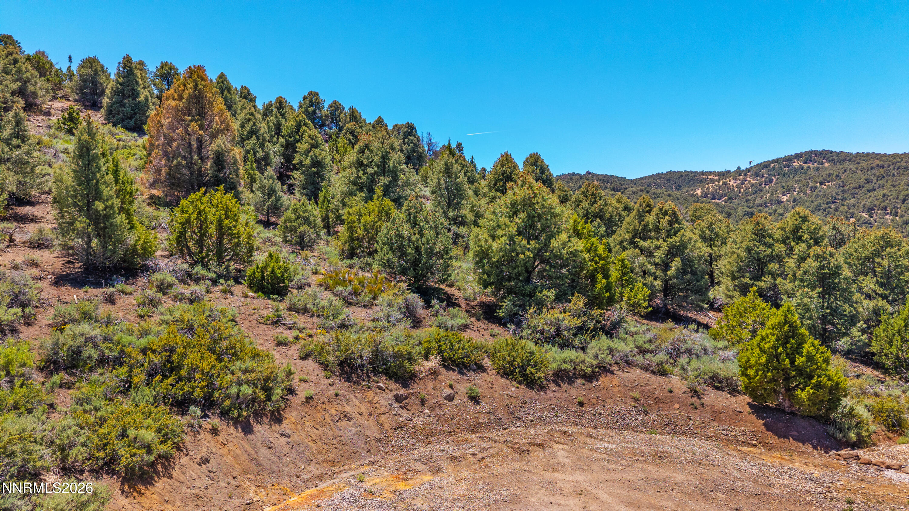21905 Panhandle Road Reno, NV 89521 - Photo 20 of 23 DJI_20260601133251_0125_D