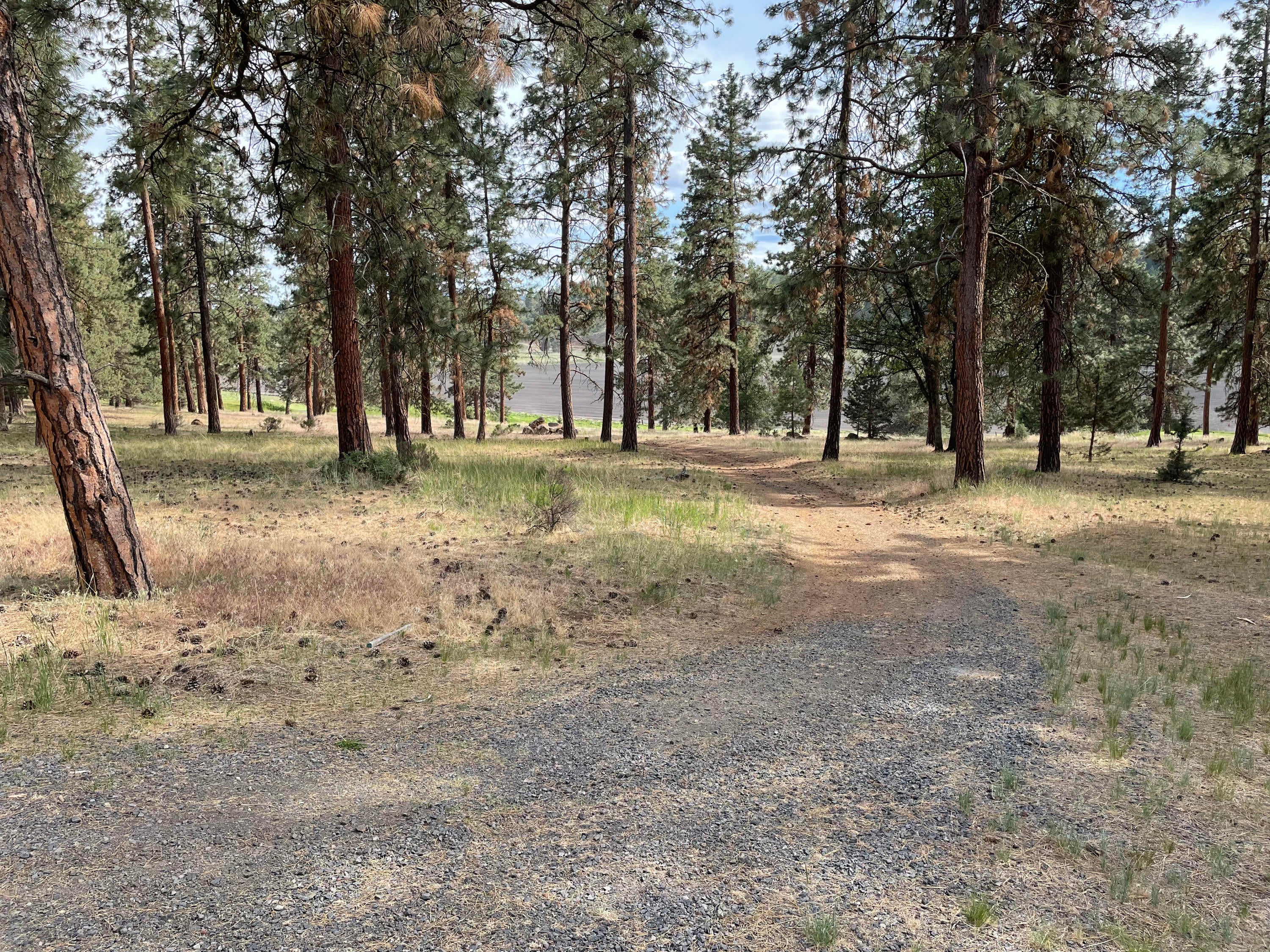 82 Merganser Road, Unit LOT 82 Klamath Falls, OR 97601 - Photo 6 of 6 IMG_0930