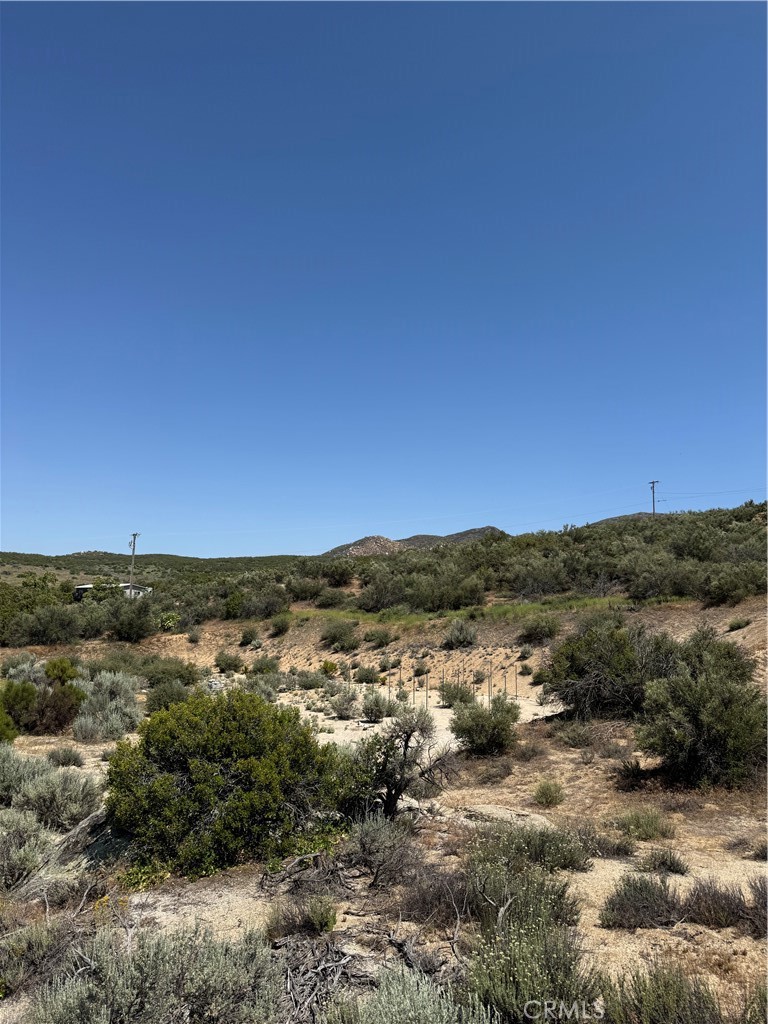 44425 Howard Road Anza, CA 92539 - Photo 19 of 22 an aerial view of residential houses with outdoor space and trees