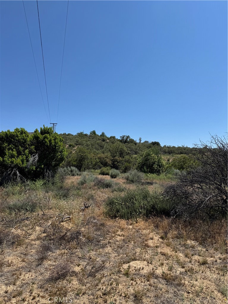 44425 Howard Road Anza, CA 92539 - Photo 3 of 22 a view of a dry yard with trees