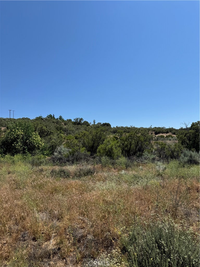 44425 Howard Road Anza, CA 92539 - Photo 4 of 22 a view of an outdoor space with mountain view