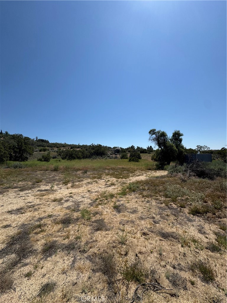 44425 Howard Road Anza, CA 92539 - Photo 9 of 22