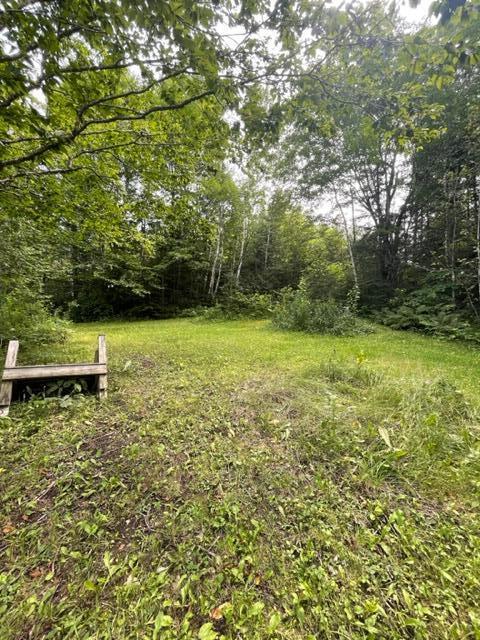 876 Baie Creue Road St. David, ME 04773 - Photo 82 of 96 IMG_0554