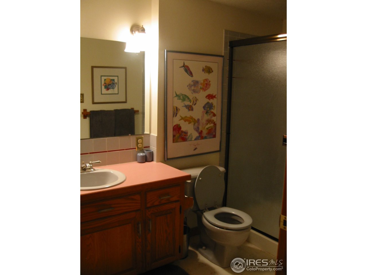 601 Indian Lookout Road Lyons, CO 80540 - Photo 23 of 25 Gallery Image 23