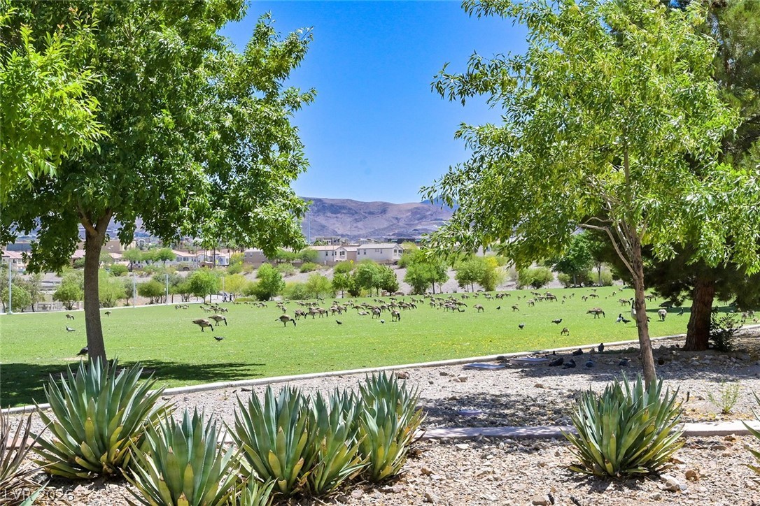 155 Fulgora Street Henderson, NV 89074 - Photo 24 of 30 Unfolding green spaces offer a peaceful setting with mature trees and mountain views.