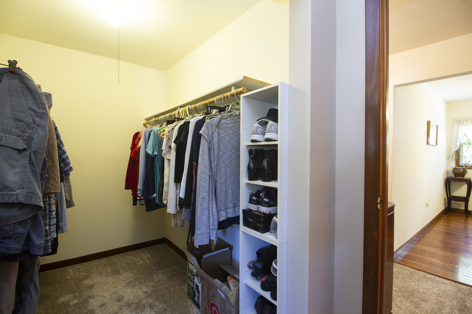 23765 South Loomis Street Crete, IL 60417 - Photo 18 of 23 a view of walk in closet with clothes and shoes