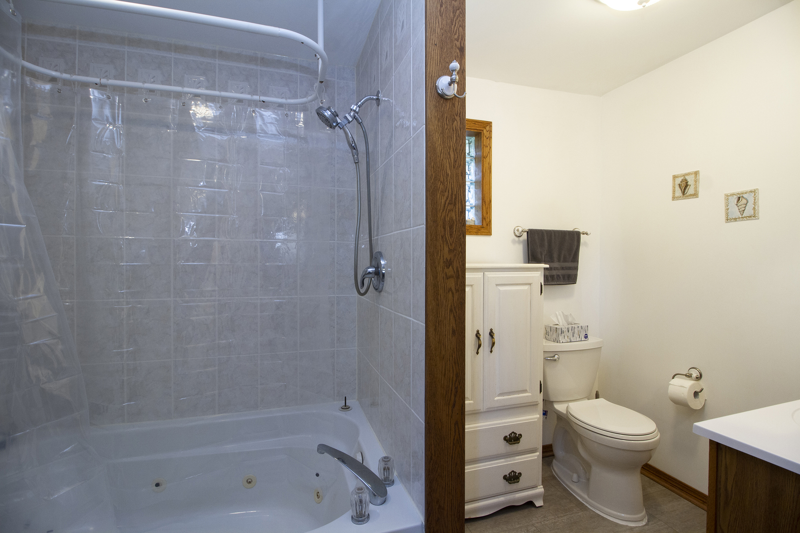 23765 South Loomis Street Crete, IL 60417 - Photo 19 of 23 a bathroom with a shower a toilet and a shower
