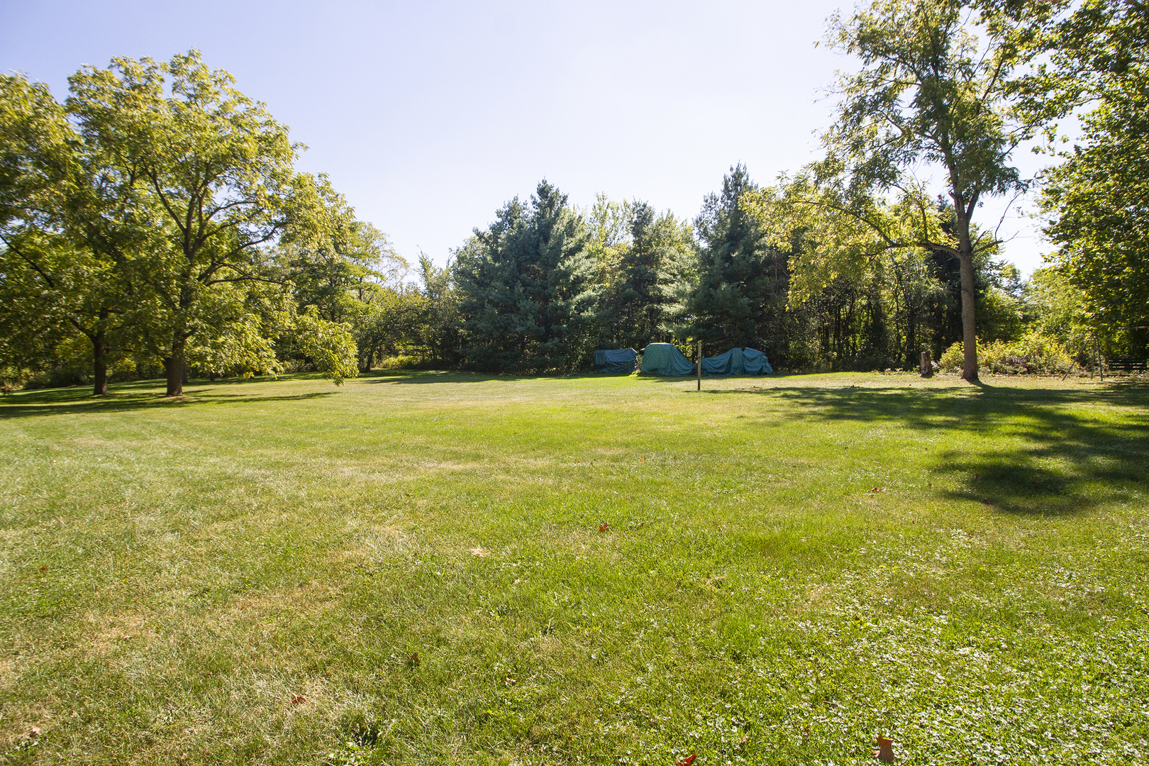23765 South Loomis Street Crete, IL 60417 - Photo 5 of 23 a view of a large garden with an outdoor space