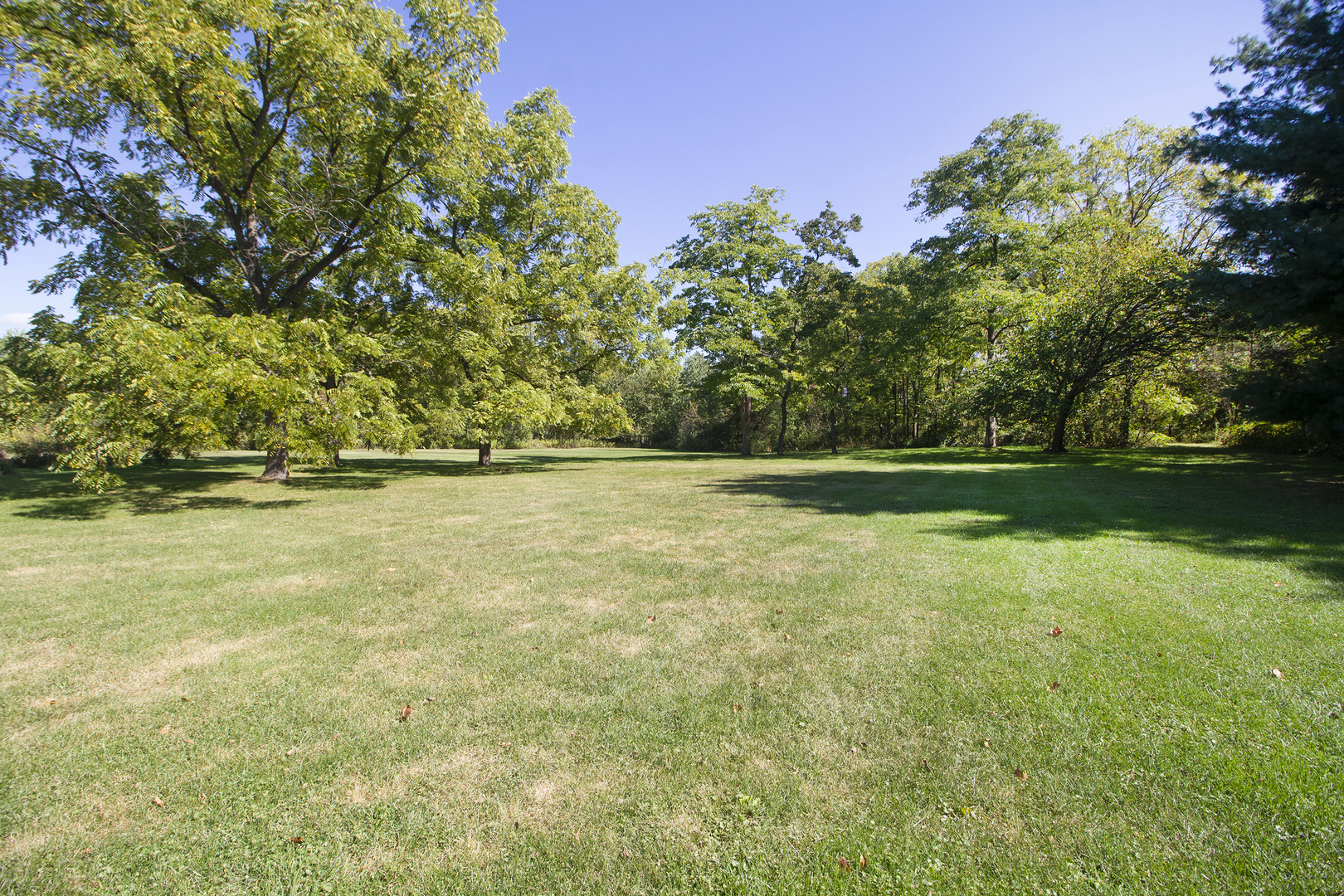 23765 South Loomis Street Crete, IL 60417 - Photo 6 of 23 a view of outdoor space with deck and yard