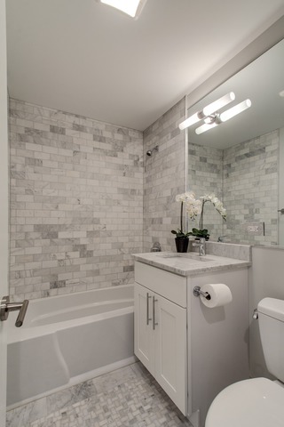 247 East Chestnut Street, Unit 2503 Chicago, IL 60611 - Photo 15 of 24 a bathroom with a sink a toilet and shower