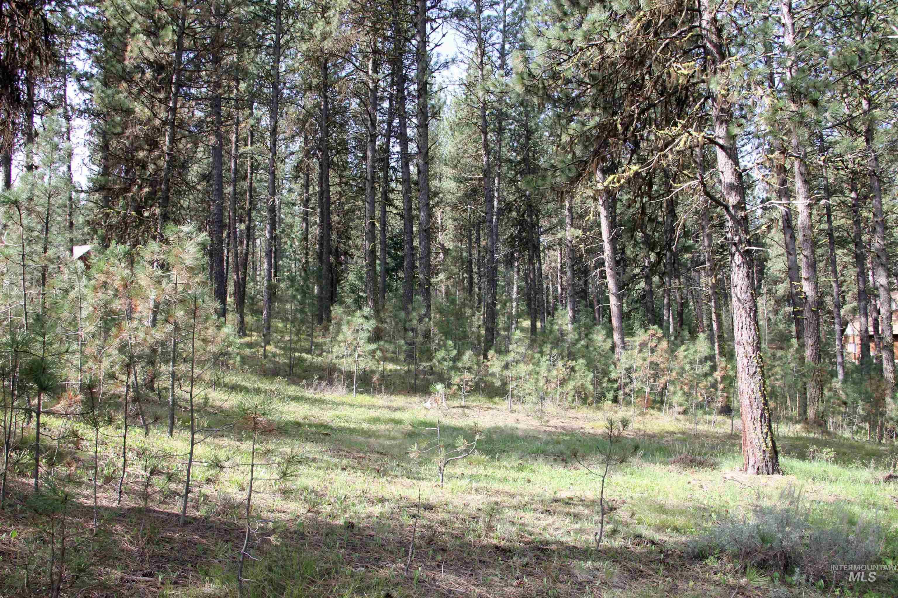 Lot 6 Hot Springs Road New Meadows, ID 83654 - Photo 8 of 11